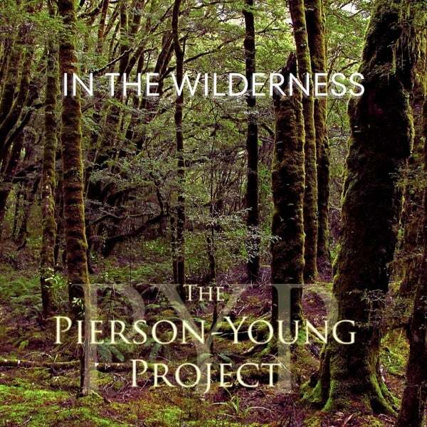 Cover art for In the Wilderness